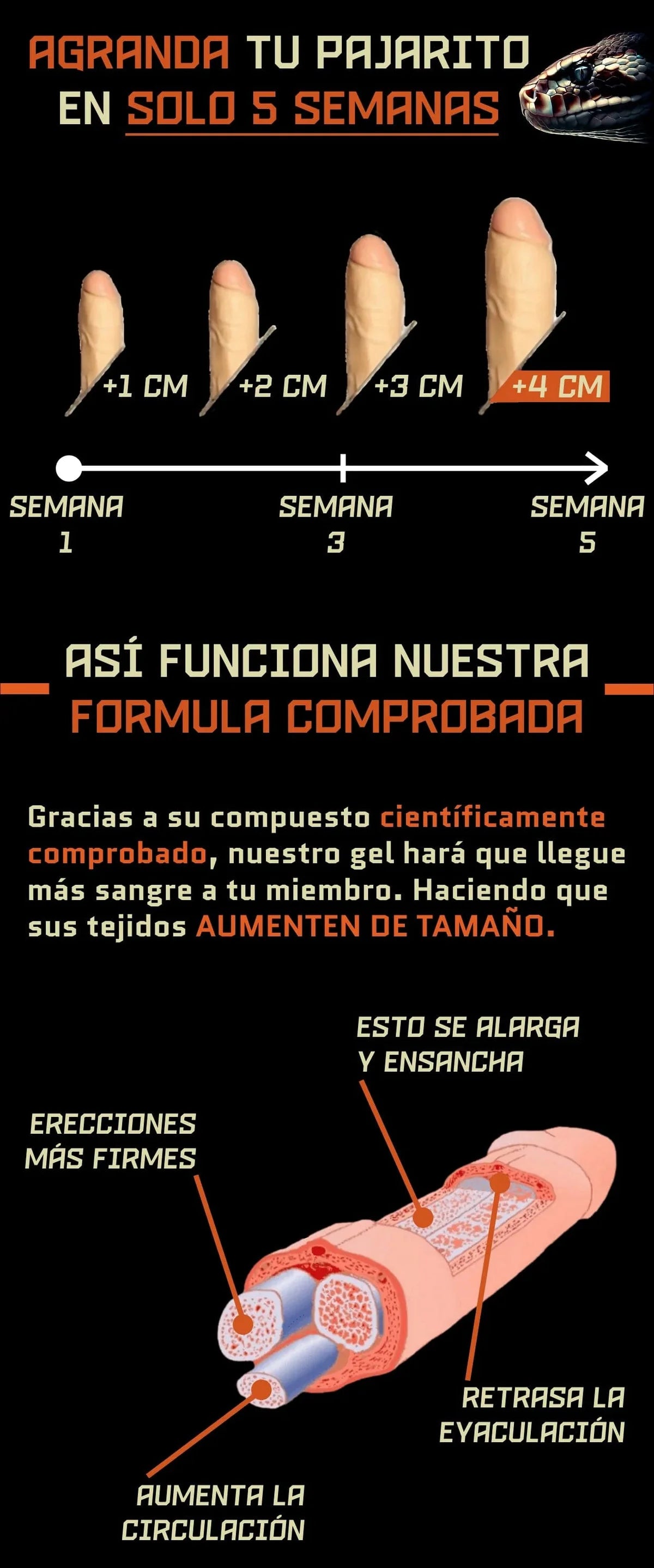 Python Gel - Para el Miembro Masculino 100% Efectivo
